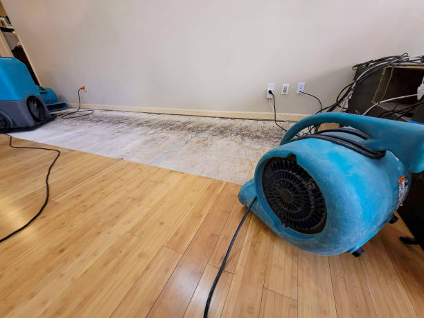Professional Burst Pipe Water Damage technician working in Rutledge, TN